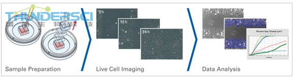 QQå?¾ç??20190318144718 伤å?£æ??å??å®?éª?æµ?ç¨?å?¾.png